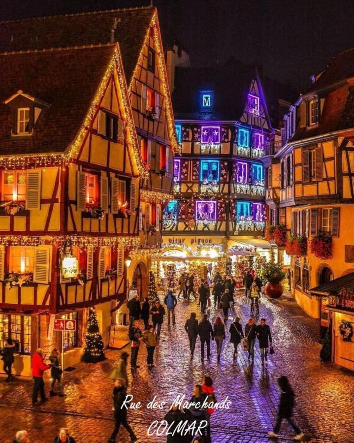 Gite Cote Cour Colmar Ngoại thất bức ảnh
